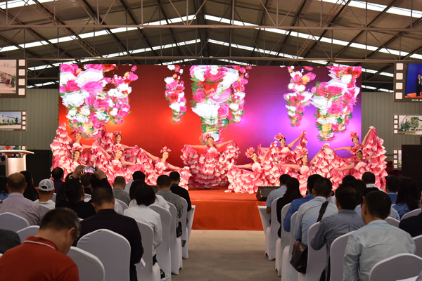 1550455499661914.jpg 17b343a8-846d-4821-bd79-1e001e10a330.JPG