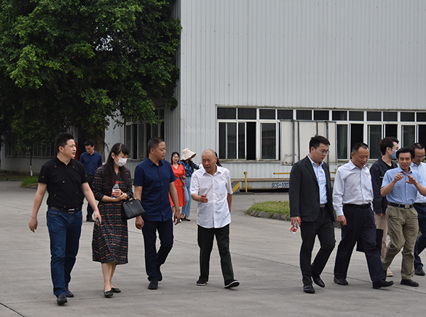 1590631806446534.jpg 05.jpg